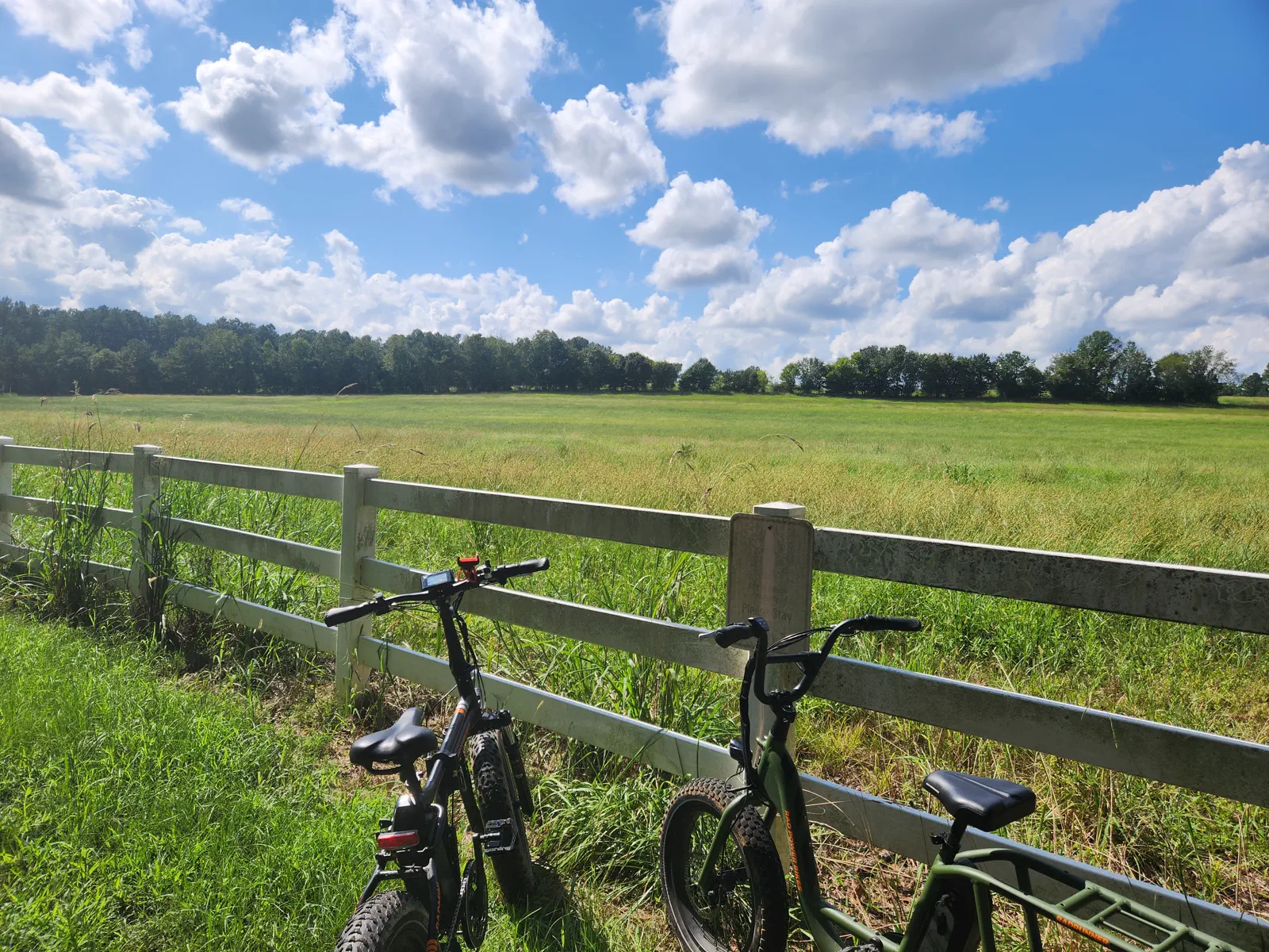Photo stop during a Triangle Adventures scenic tour